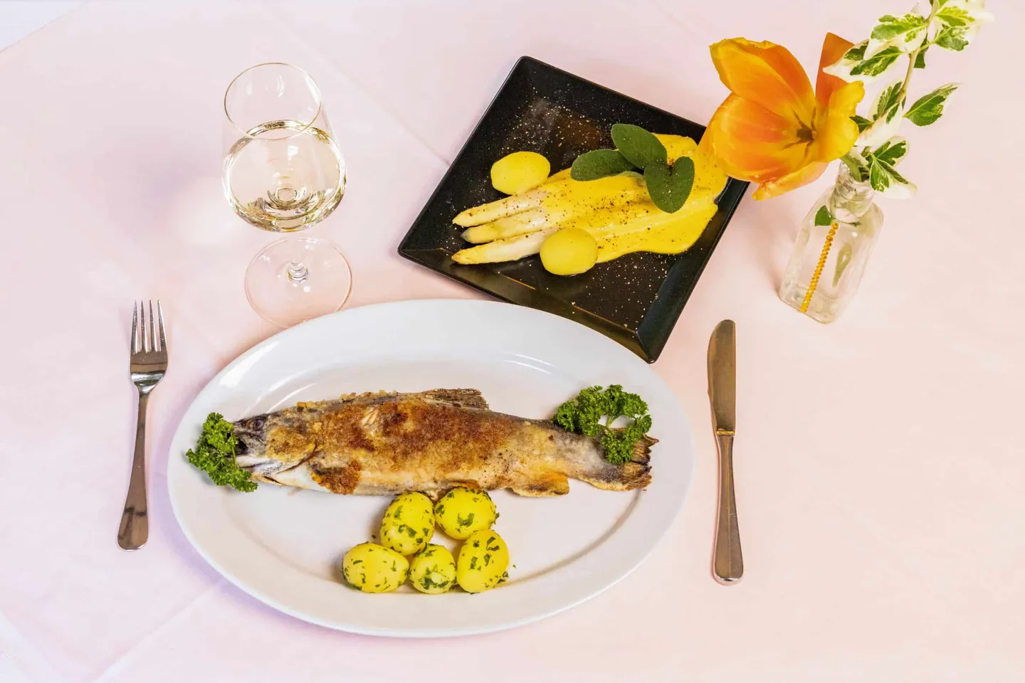 Fish dish with potatoes and asparagus in the Landgasthof Schickh